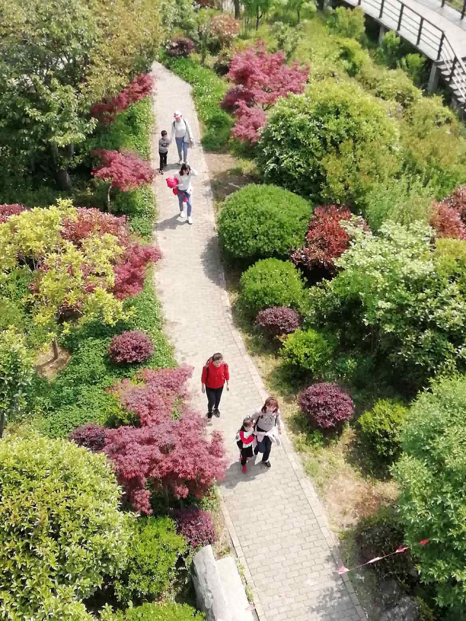 1661326224779587.png 2020-04-25 老山国家森林公园----杰迈视讯一日游 (4).png